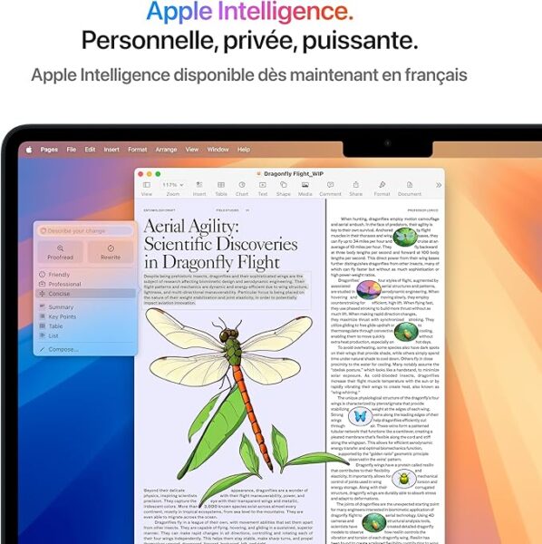 Apple MacBook Air 13 Pouces
